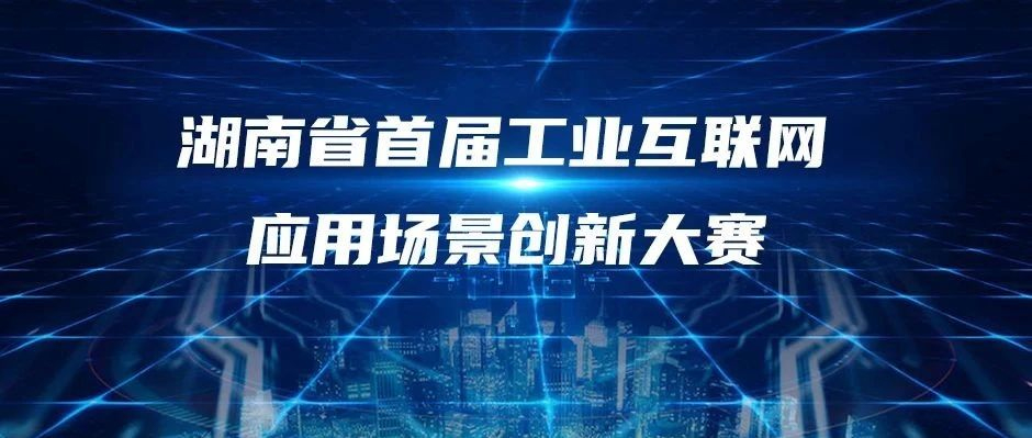 首届！树根格致，冠军！